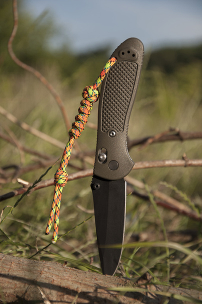 Taschenmesser in Baumstumpf auf Gras gesteckt - Foto, Bild
