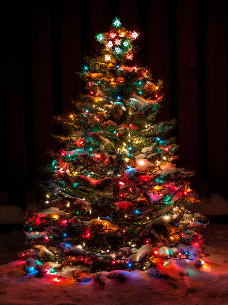 Snow Covered Christmas Tree with Multi Colored Lights - Photo, Image