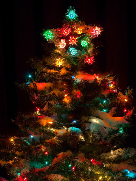 verschneiter Weihnachtsbaum mit bunten Lichtern - Foto, Bild
