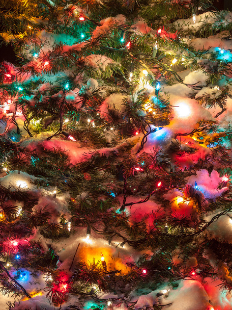 verschneiter Weihnachtsbaum mit bunten Lichtern - Foto, Bild