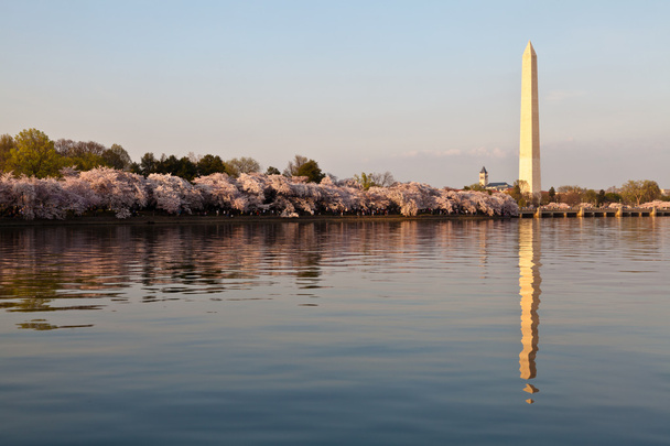 Waszyngton Pomnik Waszyngtona odzwierciedlenie w dorzeczu pływów z - Zdjęcie, obraz