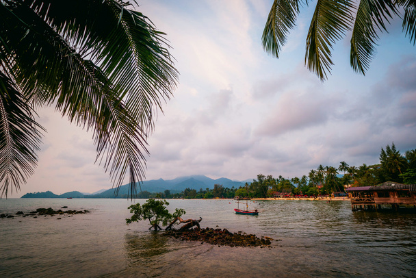calm sea and green palm trees - Фото, изображение