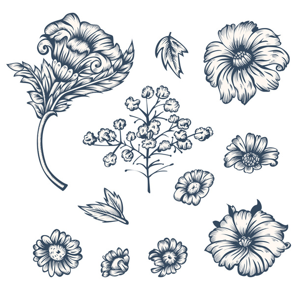 Black and white flowers - Vector, Image
