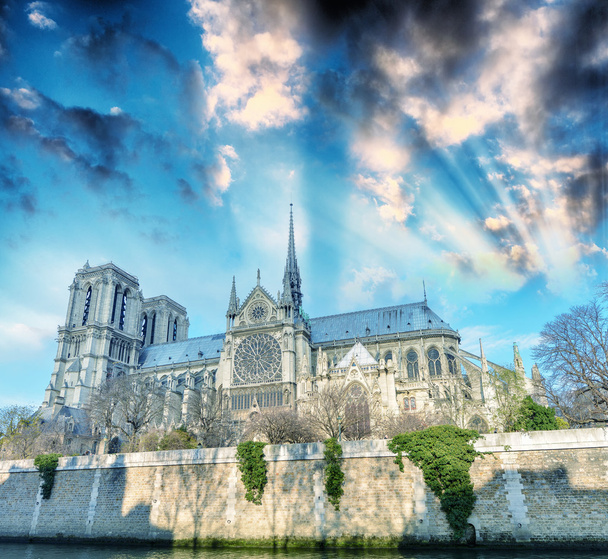 Kościół Notre Dame w Paryż, Francja - Zdjęcie, obraz