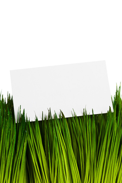 Business Card and green grass - Фото, изображение