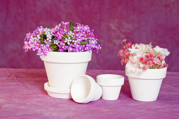 Minyatür Beyaz kil saksı ve pembe bir arka plan üzerinde çiçekler - Fotoğraf, Görsel