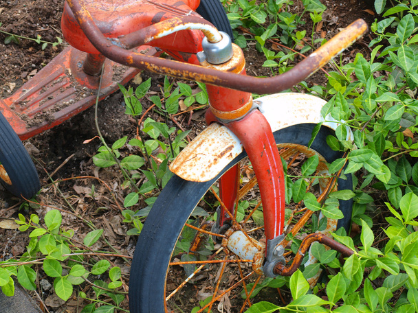 Vélo Vinatge utilisé comme planteur dans un cadre champêtre
 - Photo, image