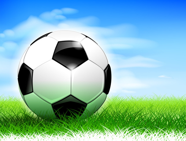 Balón de fútbol en el campo
 - Vector, Imagen