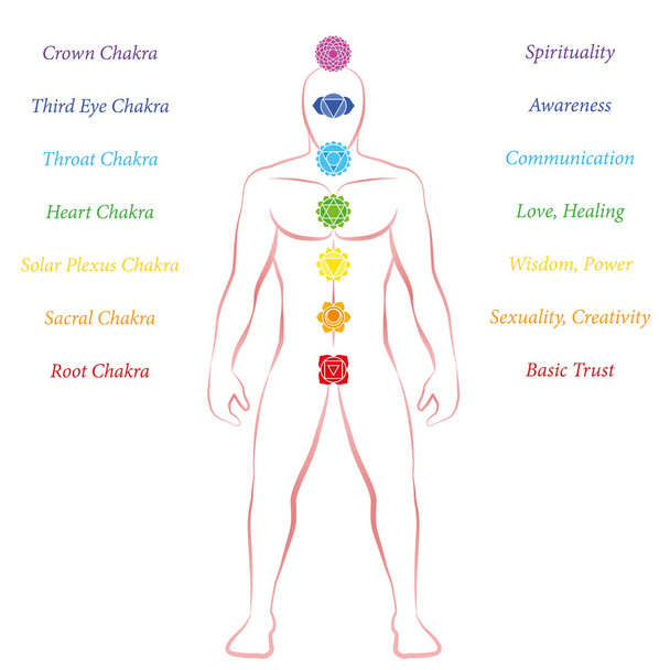 Chakras Meanings Man Standing Upright Frontal - Vector, Image