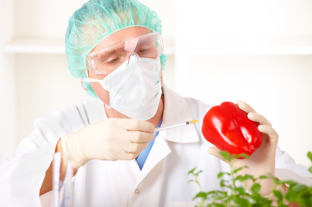 ερευνητής που κρατά ψηλά ένα λαχανικό ΓΤΟ στο εργαστήριο - Φωτογραφία, εικόνα