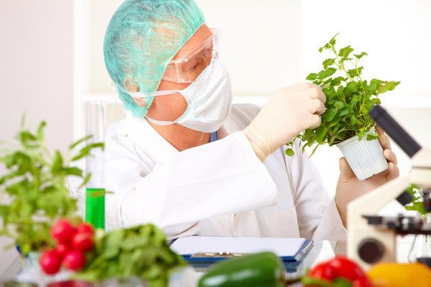 Researcher holding up a GMO vegetable in the laboratory - Foto, imagen