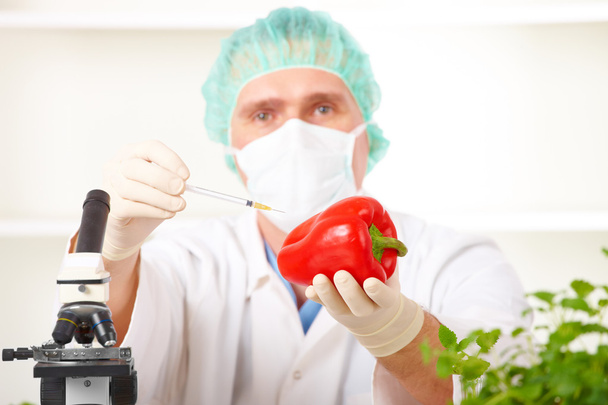 Investigador que sostiene una verdura transgénica en el laboratorio
 - Foto, Imagen