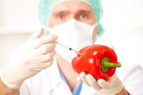 Researcher holding up a GMO vegetable in the laboratory - Photo, image