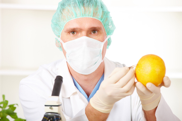 Researcher holding up a GMO vegetable in the laboratory - Photo, Image