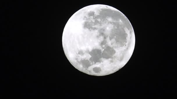 Super full moon w jasną noc - Materiał filmowy, wideo