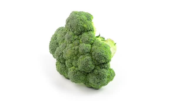 brócoli sobre fondo blanco - Metraje, vídeo