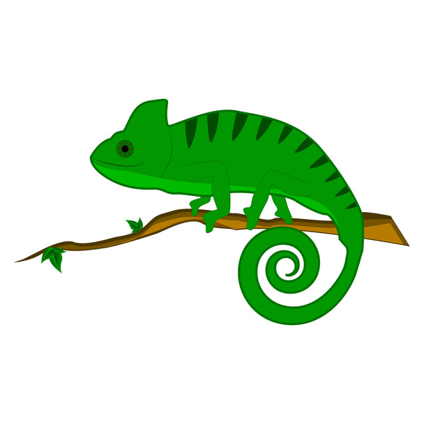 Chameleon on the branch vector illustration - Vector, Image
