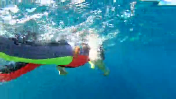 Νεαρό κορίτσι, κολύμβηση με αναπνευστήρα στην Ερυθρά θάλασσα - Πλάνα, βίντεο