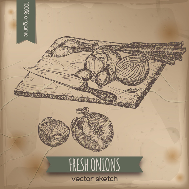 Vintage onions template - Vector, Image