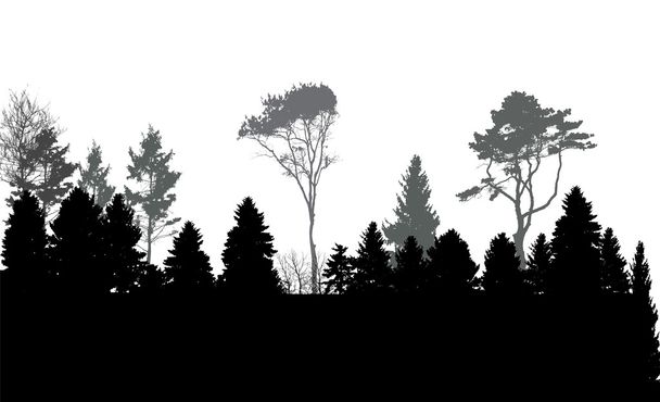 Image de la nature. Silhouette d'arbre. Éco bannière. Illustration vectorielle
 - Vecteur, image