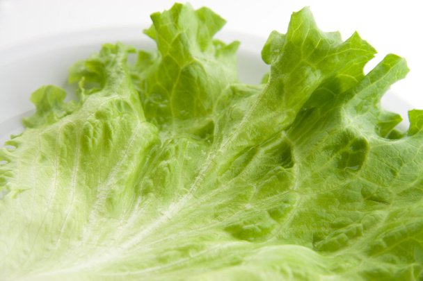 Green lettuce salad 3 - Fotó, kép
