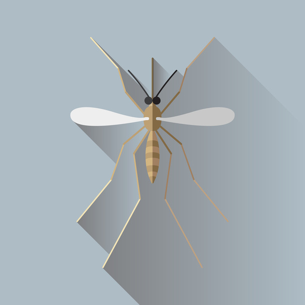 Pictogramme vectoriel d'insecte moustique à longue ombre
 - Vecteur, image