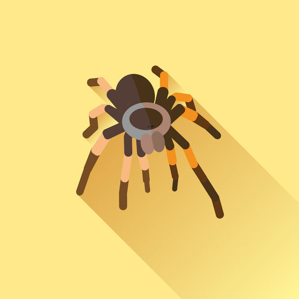 Векторная длинная тень плоского паука Тарантола
 - Вектор,изображение