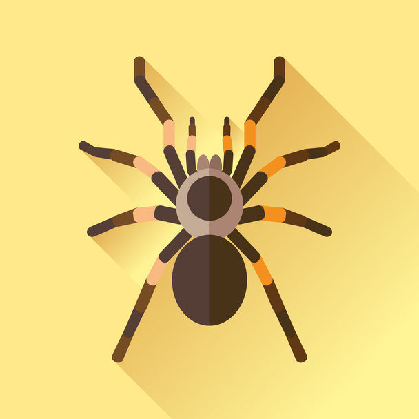 Διάνυσμα Long Shadow αράχνη επίπεδη Tarantola έντομο - Διάνυσμα, εικόνα