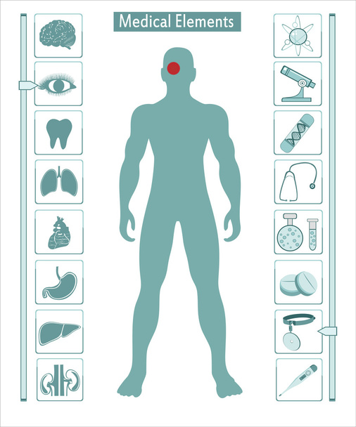 Icons of human organs - Vektori, kuva