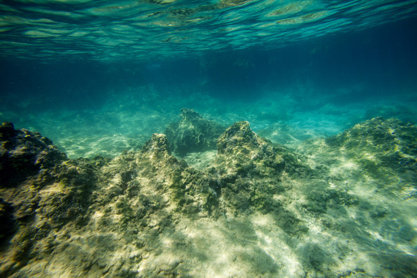 a background underwater - Фото, зображення