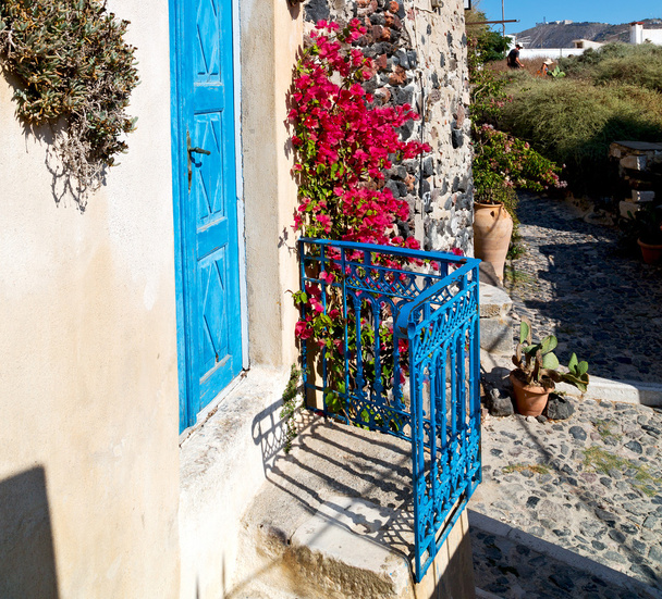  flowers  in architecture    europe cyclades santorini old town  - Photo, Image