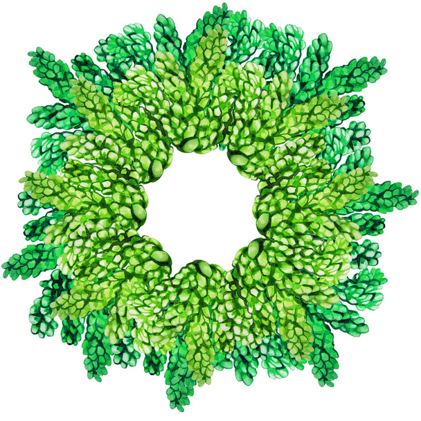 Watercolor succulent wreath - Fotó, kép