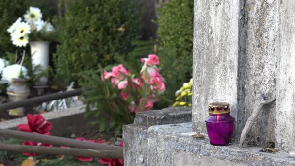 Grabstein voller Blumen und Kerzen am Tag aller Toten. 4k - Filmmaterial, Video
