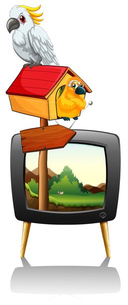 Папуги на екрані телевізора
 - Вектор, зображення