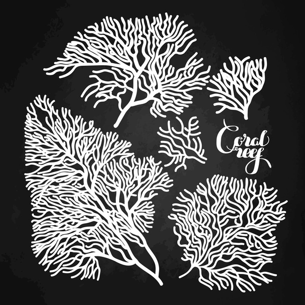 Colección de coral gráfico
 - Vector, Imagen