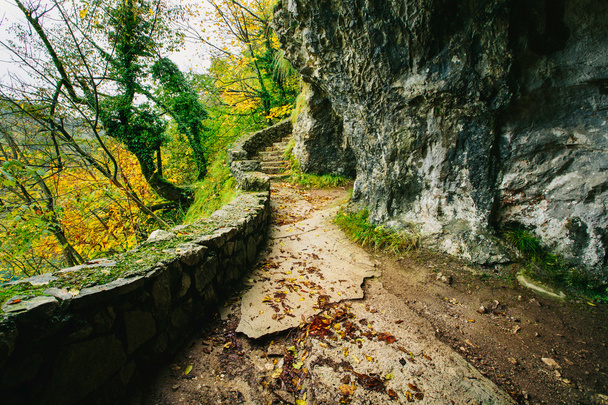 Красивая каменная тропа в лесу. Плитивце, Хорватия
. - Фото, изображение