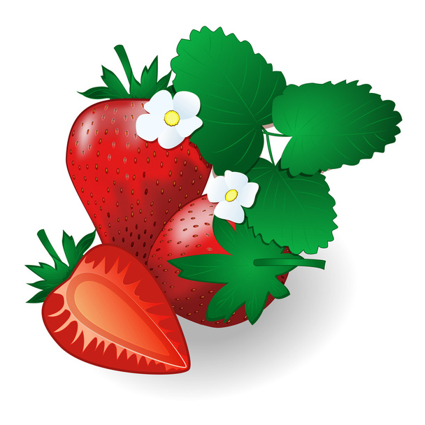 Fresas rojas de pasión, con hojas y flores
 - Vector, Imagen