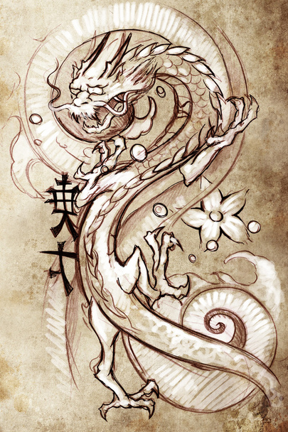Tattoo art, sketch of a japanese dragon - Foto, Imagem