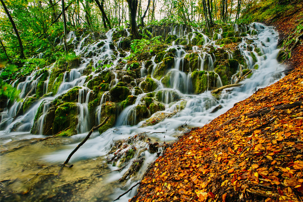 Vue majestueuse d'une cascade de forêt profonde par une journée ensoleillée d'automne dans le parc national de Plitvice, Croatie
 - Photo, image