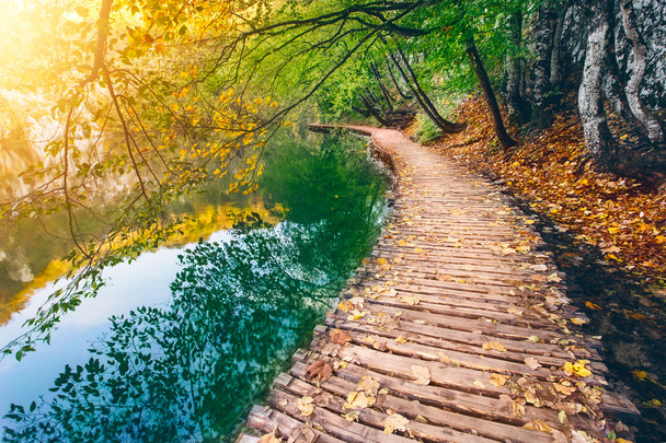Деревянный мост на голубом озере в Плитвицком национальном парке, Европа
 - Фото, изображение