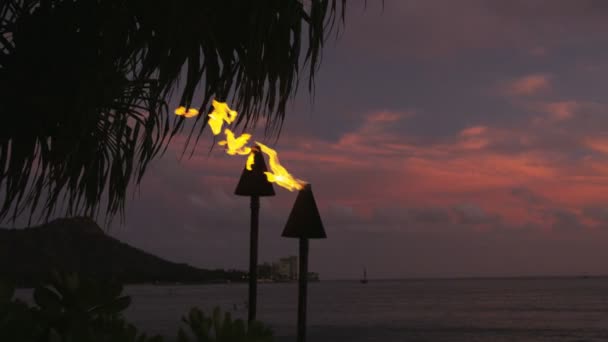 Torches fire flames burning in Hawaii - Video