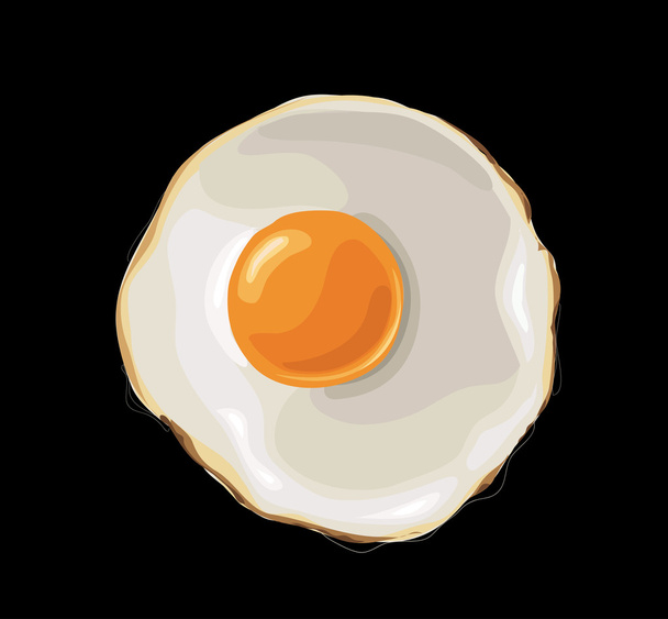 Fried Egg vector - Vector, Image