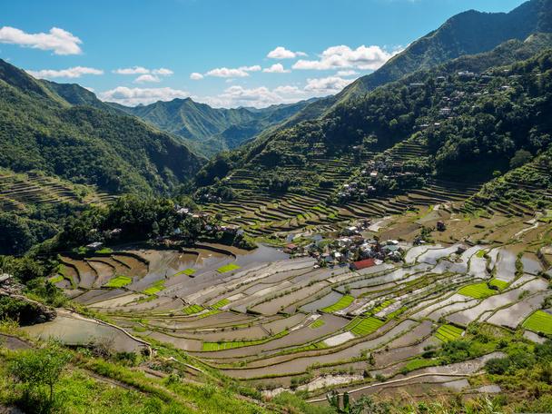 terraços de arroz batad em th Filipinas
 - Foto, Imagem