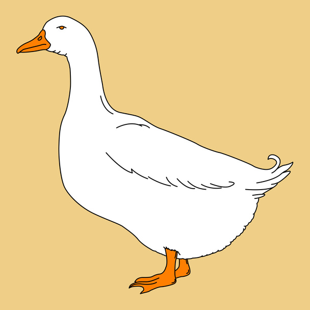 goose isolated ocher background - Vector, imagen