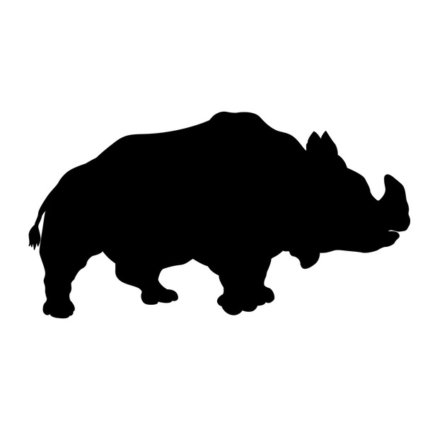 Dessin de contour Rhino
 - Vecteur, image