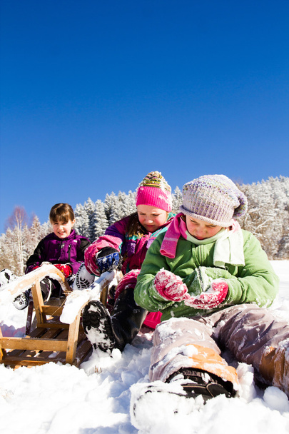 Bambini felici slittino in inverno. Gruppo di bambini trascorrere un bel tempo in inverno. - Foto, immagini