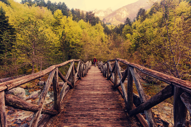 kleine houten brug - Foto, afbeelding