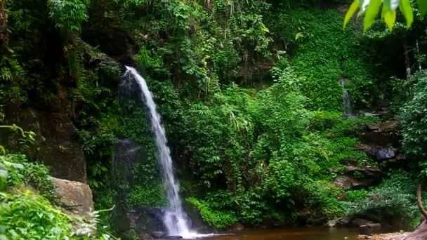 mały wodospad w tropikalnych lasów tropikalnych - Materiał filmowy, wideo