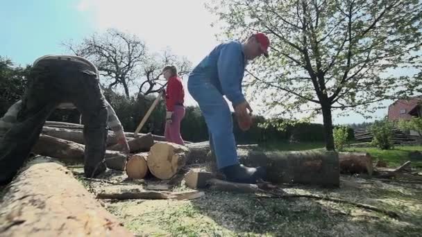 Menschen lagern Holz für kalte Tage - Filmmaterial, Video