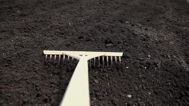 Gardener using  rake - Footage, Video